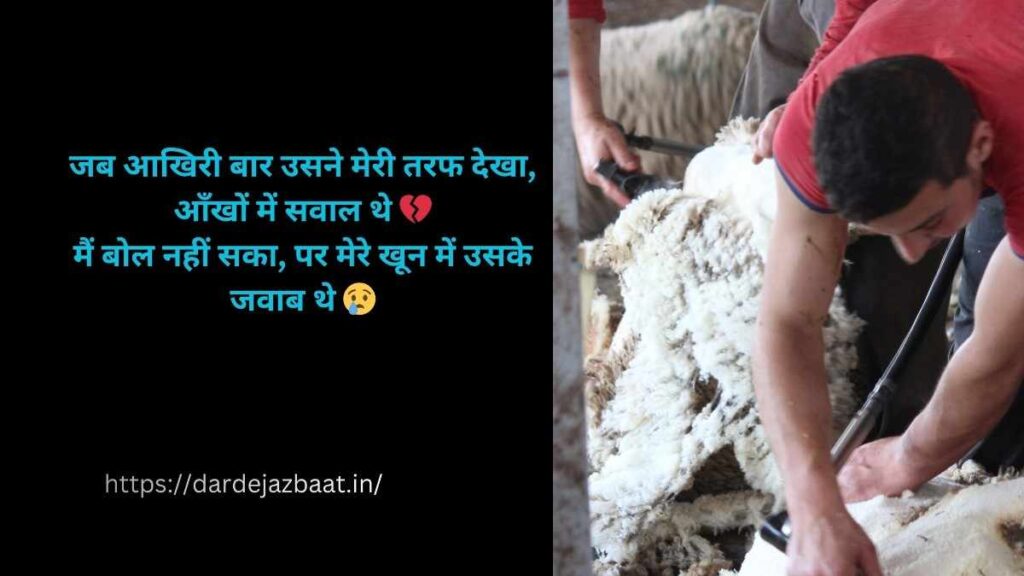 “बेजुबान की आखिरी पुकार 💔” “बेजुबान की आखिरी पुकार 💔”