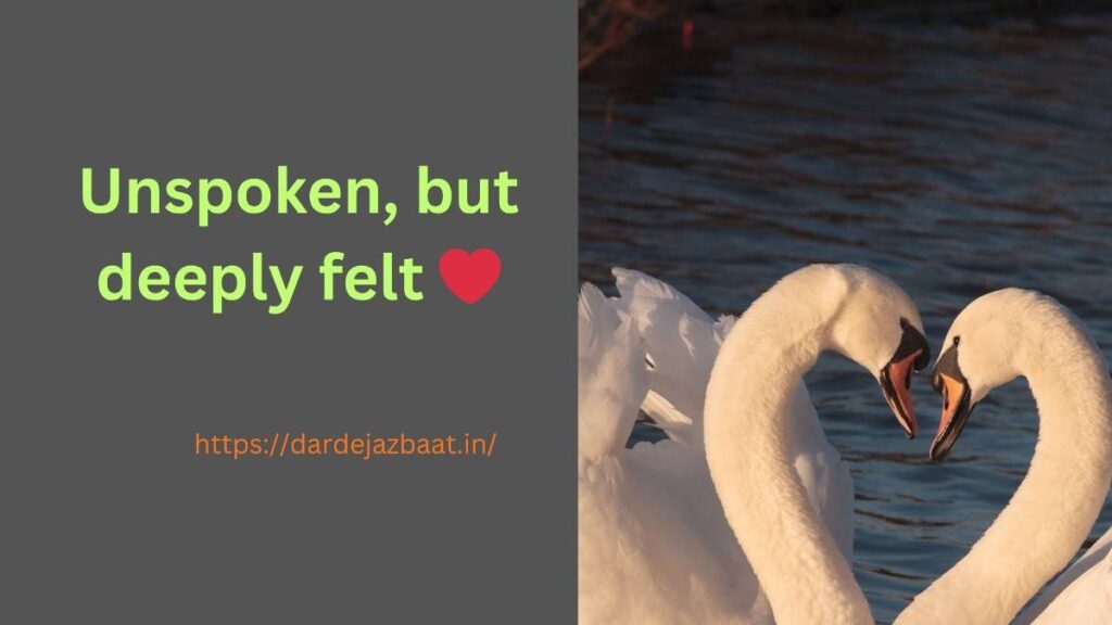 📸 Unexpressed hidden love quotes for Instagram