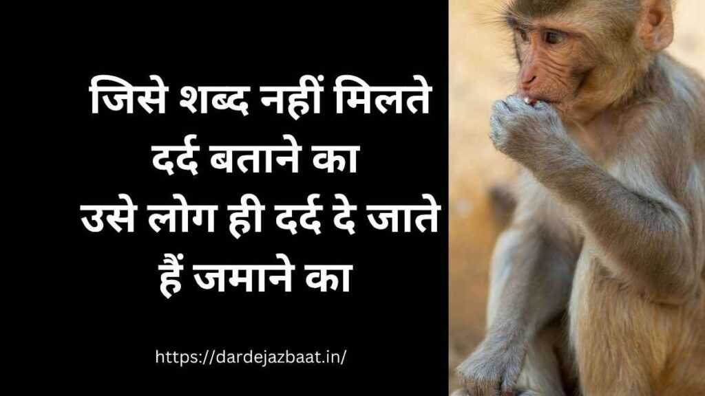 “Animal shayari emotional”
