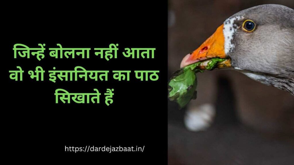 बेजुबान जानवर पर शायरी