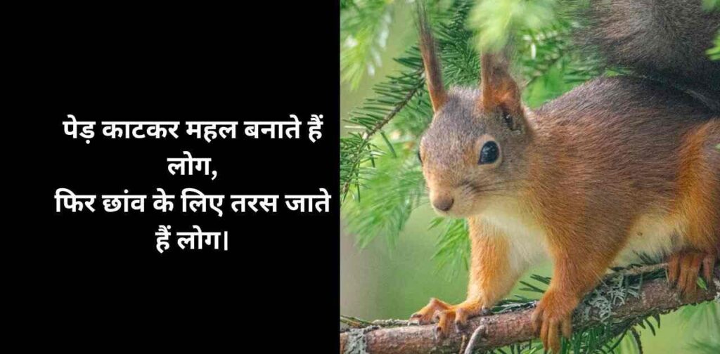 Janwar vs Insaan Shayari