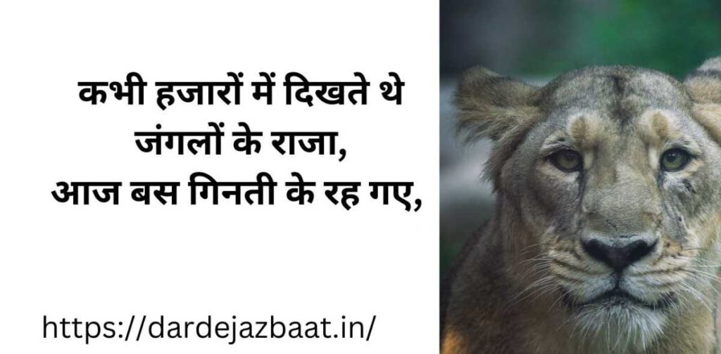 बेगुनाहों का दर्द शायरी | मासूम दर्द और खामोशी की कहानी