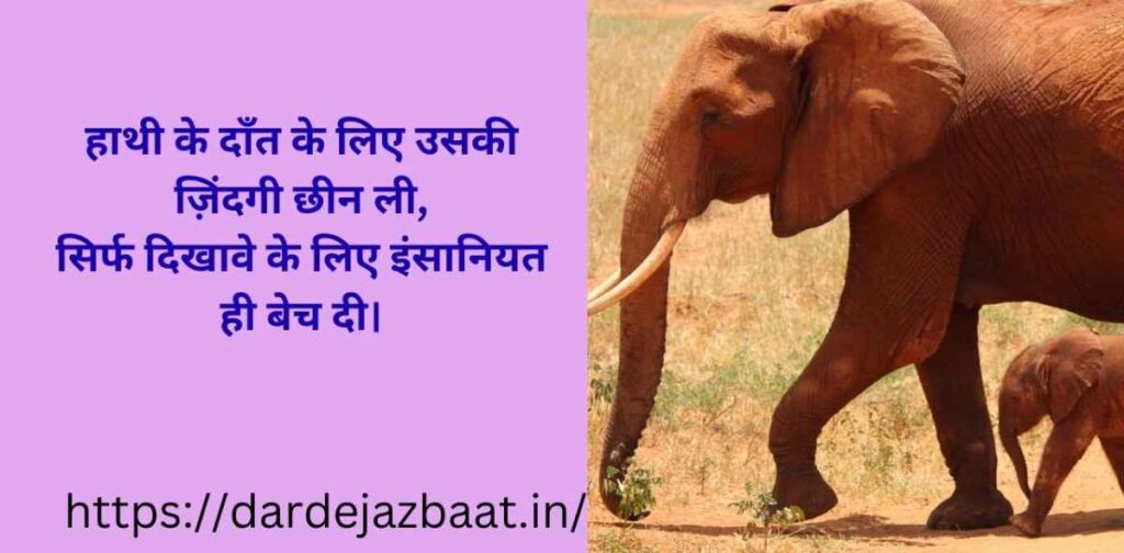 खामोश चीखों की सच्चाई शायरी | अनसुना दर्द