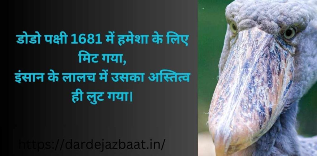 स्वार्थी इंसान शायरी | लालच और निर्दयता की कहानी