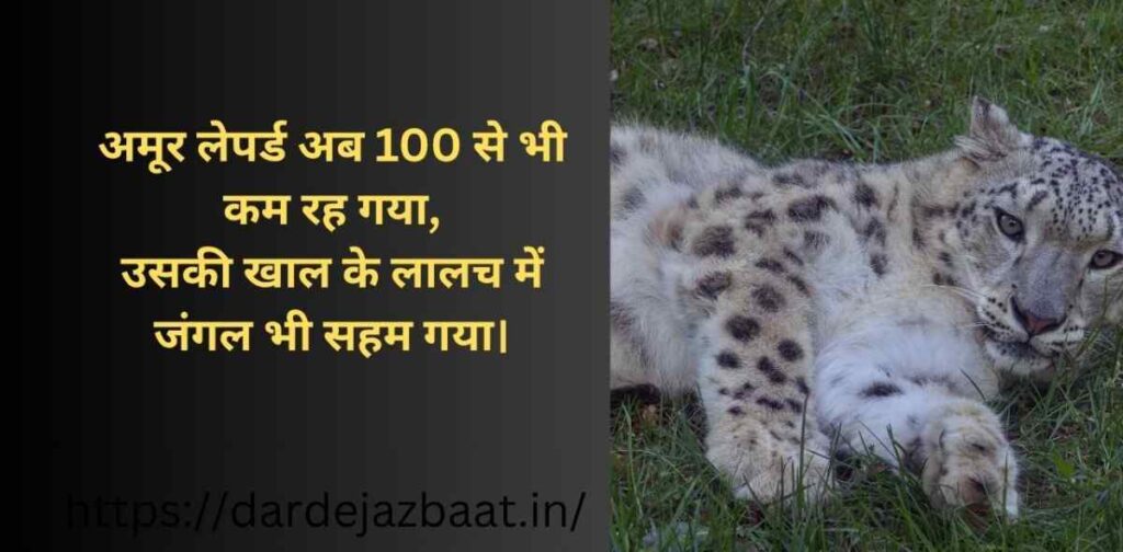 बेगुनाहों की खामोशी शायरी | दर्द जो कोई नहीं सुनता