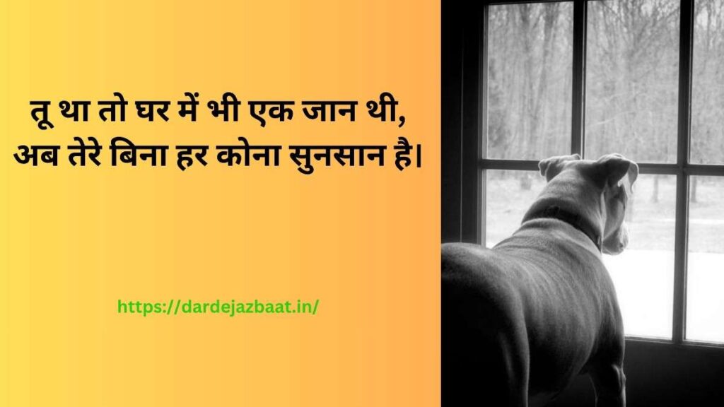 💔 Pet Missing Shayari