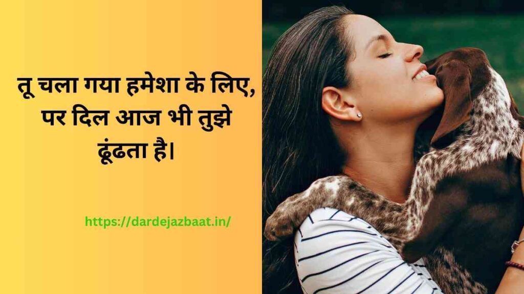 💔 Pet Death Shayai