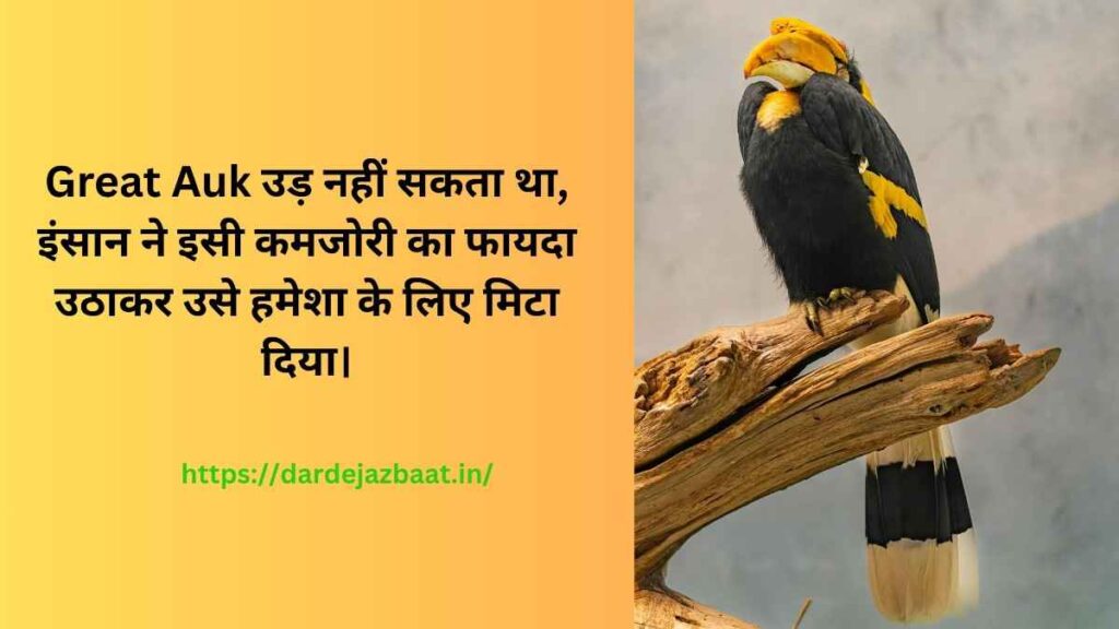 💔 Lost Animals Reality Shayari 