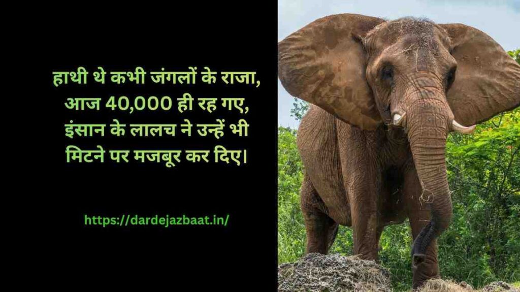 🐘 विलुप्त होते जानवरों पर दर्द भरी शायरी