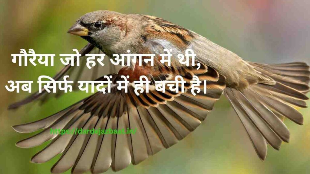 🐦 विलुप्त पक्षियों पर शायरी