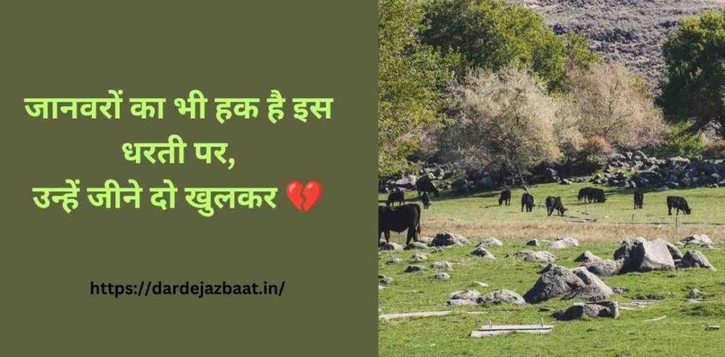 animal rights shayari hindi, save animals quotes