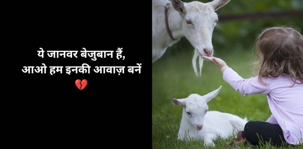 bejubaan janwar shayari, animal voice quotes