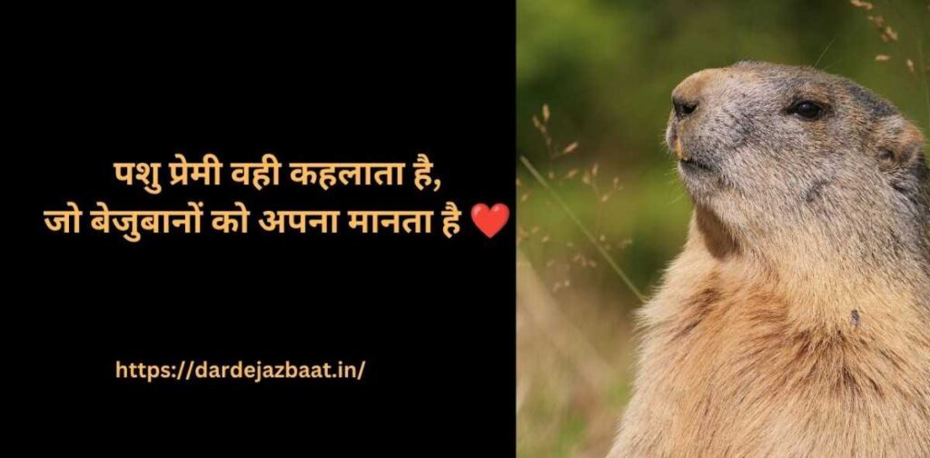 pashu prem kya hai, animal love meaning hindi
