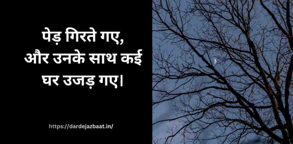 जंगल कटाई और उजड़ती ज़िंदगियों की दर्द भरी शायरी
