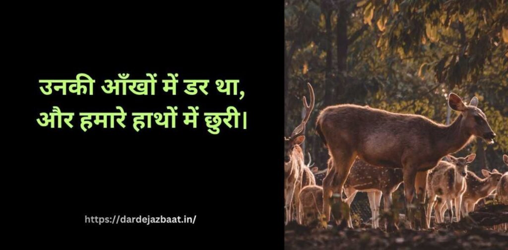 मांस उद्योग में जानवरों पर अत्याचार शायरी