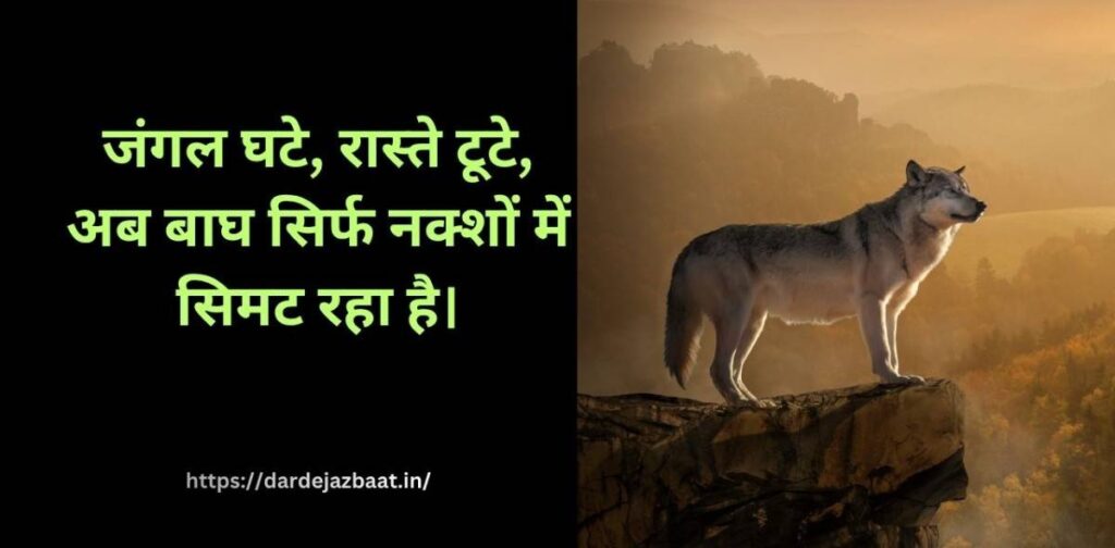 जंगल खत्म होने पर इंसान के अंत की चेतावनी शायरी