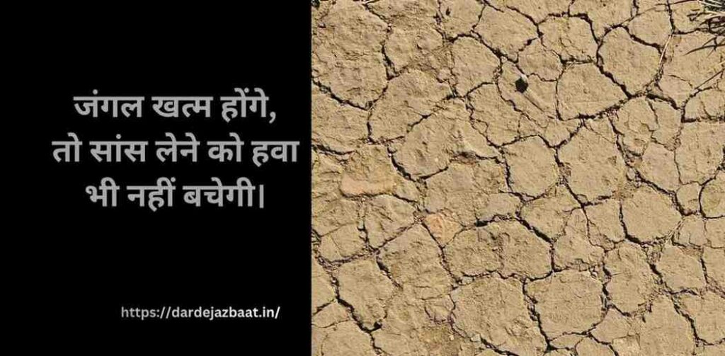 जंगल खत्म होने पर इंसान के अंत की चेतावनी शायरी