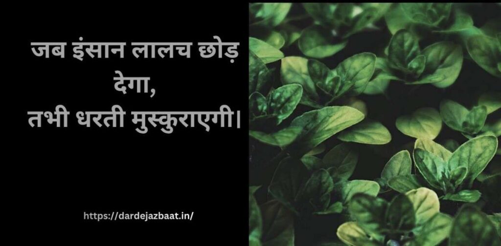 जंगल खत्म होने पर इंसान के अंत की चेतावनी शायरी