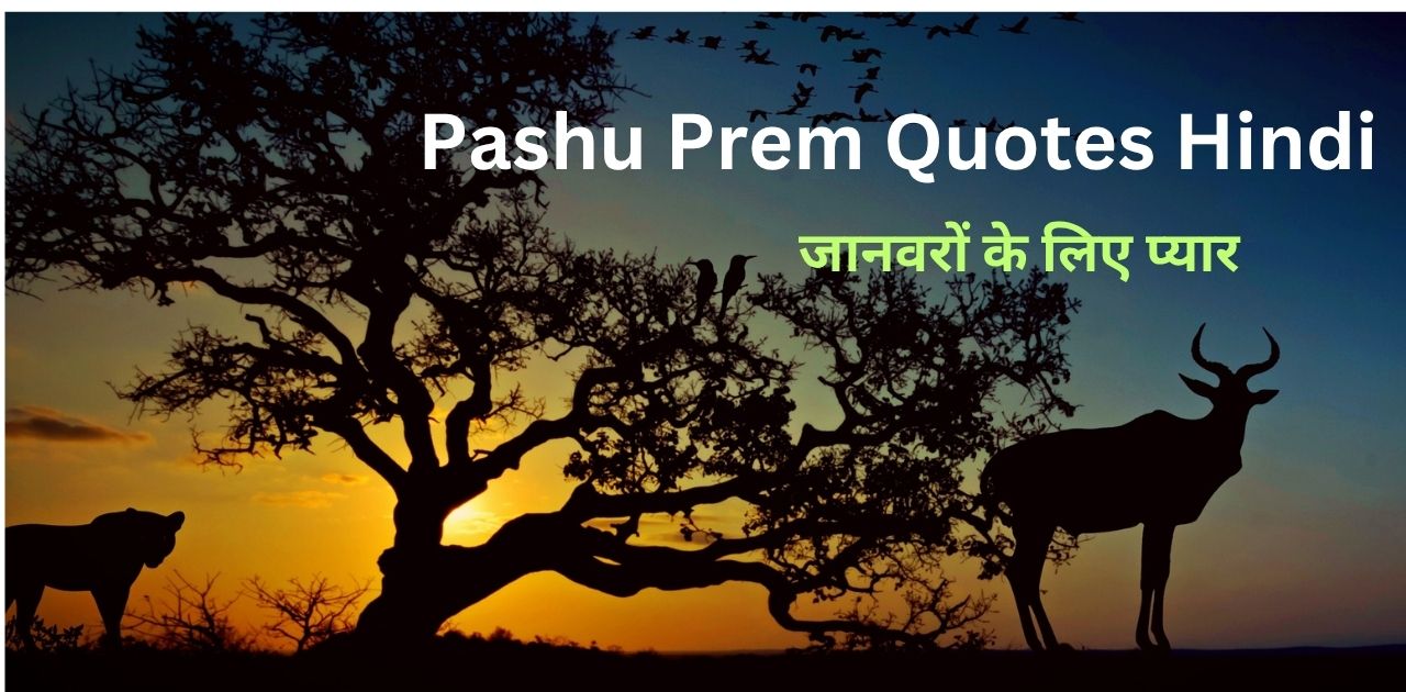 Pashu Prem Quotes Hindi💔|जानवरों के लिए प्यार और इंसानियत की शायरी