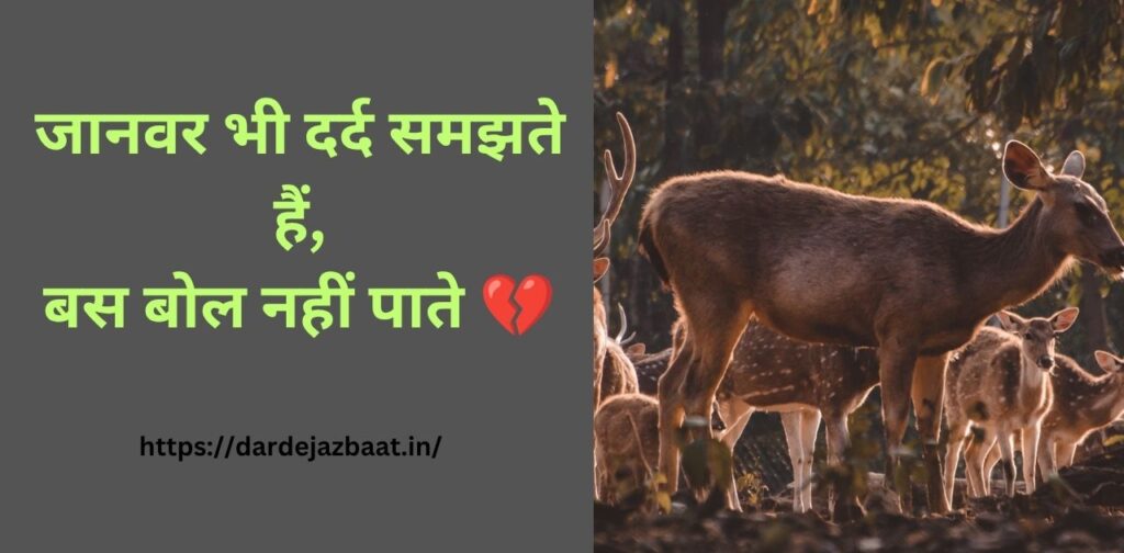 pashu prem shayari hindi, animal love quotes hindi