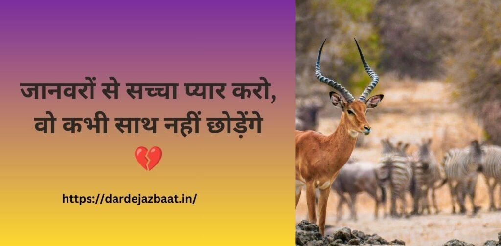 animal love shayari hindi, janwar pyar quotes