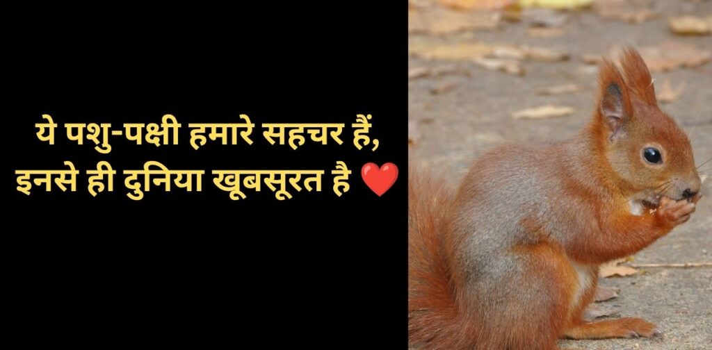 animal companion quotes hindi, pet love shayari